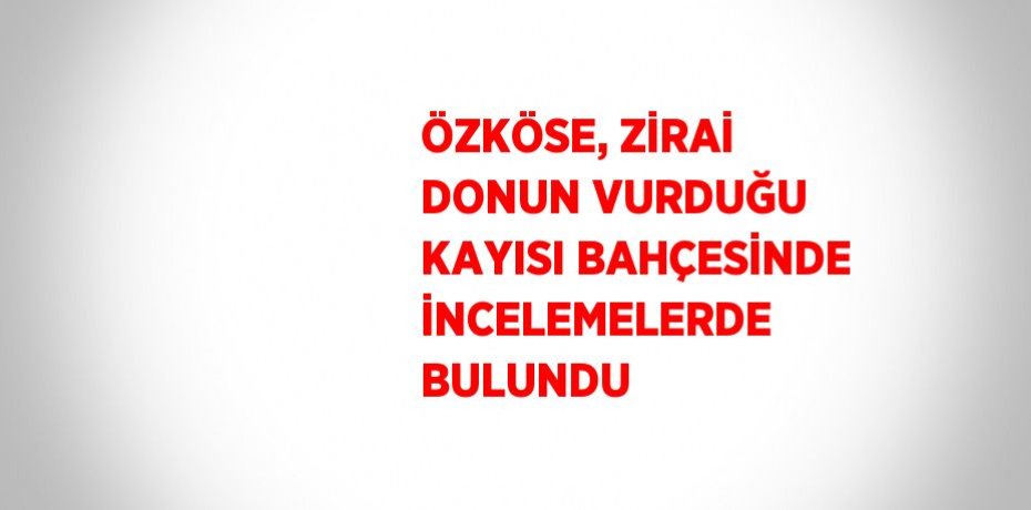 ÖZKÖSE, ZİRAİ DONUN VURDUĞU KAYISI BAHÇESİNDE İNCELEMELERDE BULUNDU