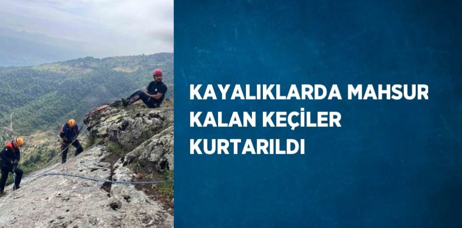 KAYALIKLARDA MAHSUR KALAN KEÇİLER KURTARILDI