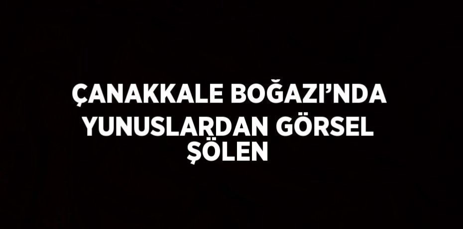 ÇANAKKALE BOĞAZI’NDA YUNUSLARDAN GÖRSEL ŞÖLEN
