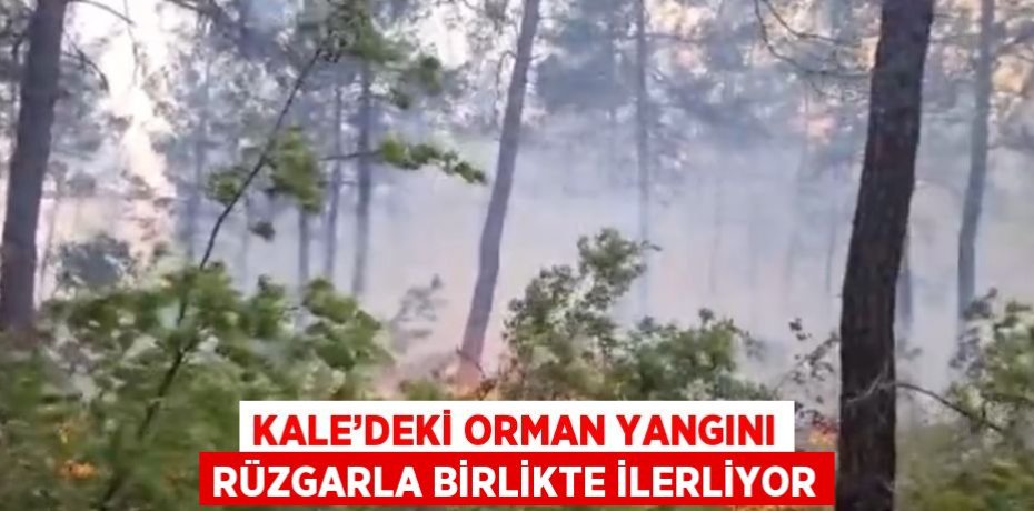 KALE’DEKİ ORMAN YANGINI RÜZGARLA BİRLİKTE İLERLİYOR KALE’DEKİ ORMAN YANGINI RÜZGARLA BİRLİKTE İLERLİYOR