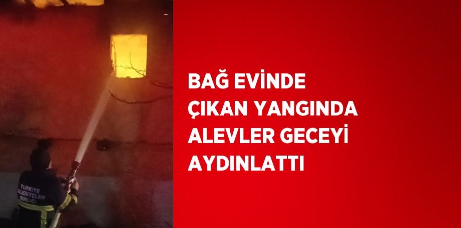 BAĞ EVİNDE ÇIKAN YANGINDA ALEVLER GECEYİ AYDINLATTI