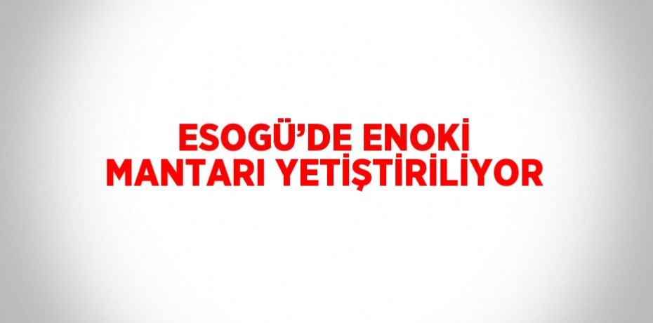 ESOGÜ’DE ENOKİ MANTARI YETİŞTİRİLİYOR