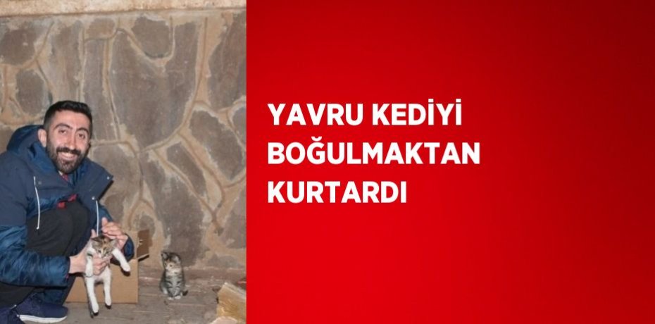 YAVRU KEDİYİ BOĞULMAKTAN KURTARDI