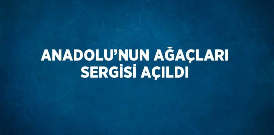 ANADOLU’NUN AĞAÇLARI SERGİSİ AÇILDI