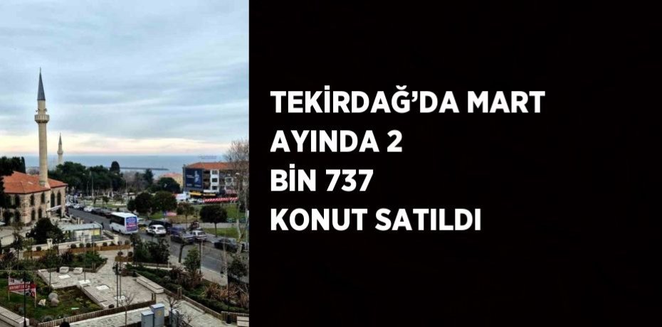 TEKİRDAĞ’DA MART AYINDA 2 BİN 737 KONUT SATILDI