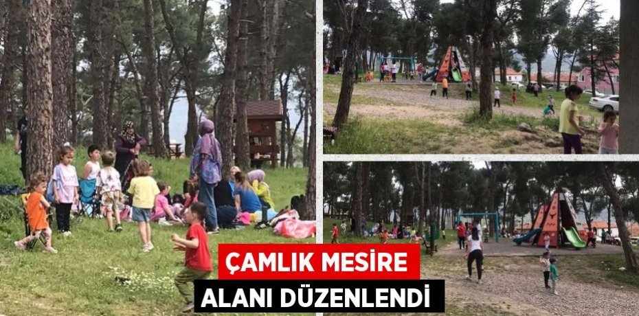 ÇAMLIK MESİRE ALANI DÜZENLENDİ