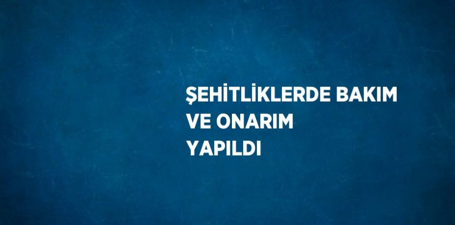 ŞEHİTLİKLERDE BAKIM VE ONARIM YAPILDI