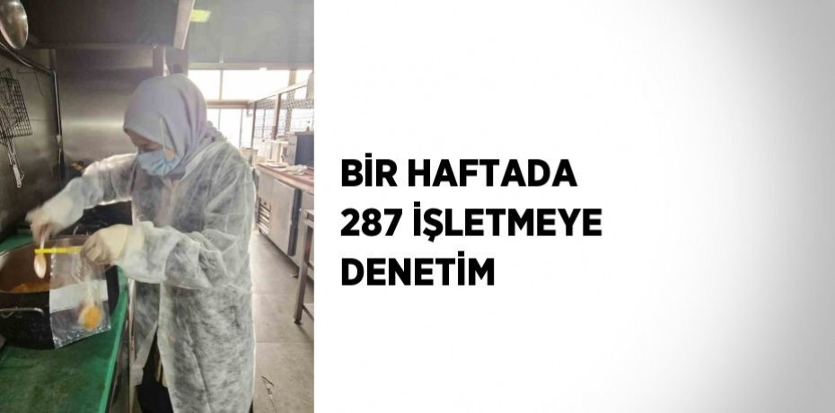 BİR HAFTADA 287 İŞLETMEYE DENETİM