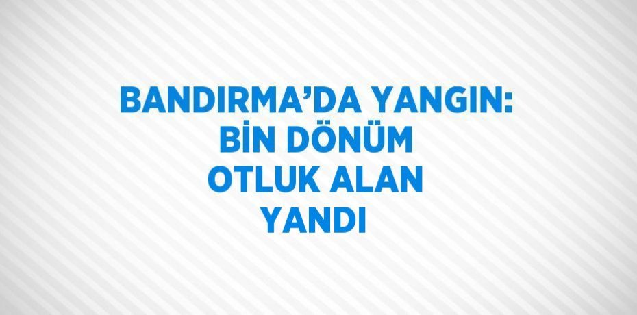 BANDIRMA’DA YANGIN: BİN DÖNÜM OTLUK ALAN YANDI