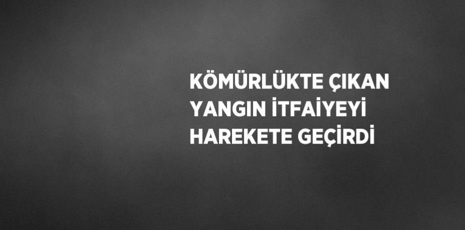 KÖMÜRLÜKTE ÇIKAN YANGIN İTFAİYEYİ HAREKETE GEÇİRDİ