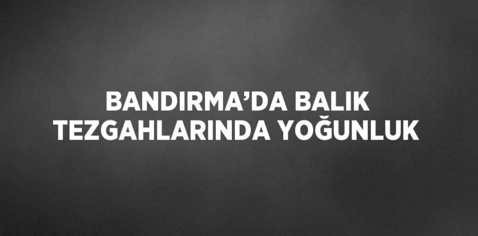 BANDIRMA’DA BALIK TEZGAHLARINDA YOĞUNLUK