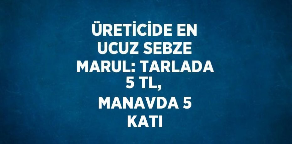 ÜRETİCİDE EN UCUZ SEBZE MARUL: TARLADA 5 TL, MANAVDA 5 KATI