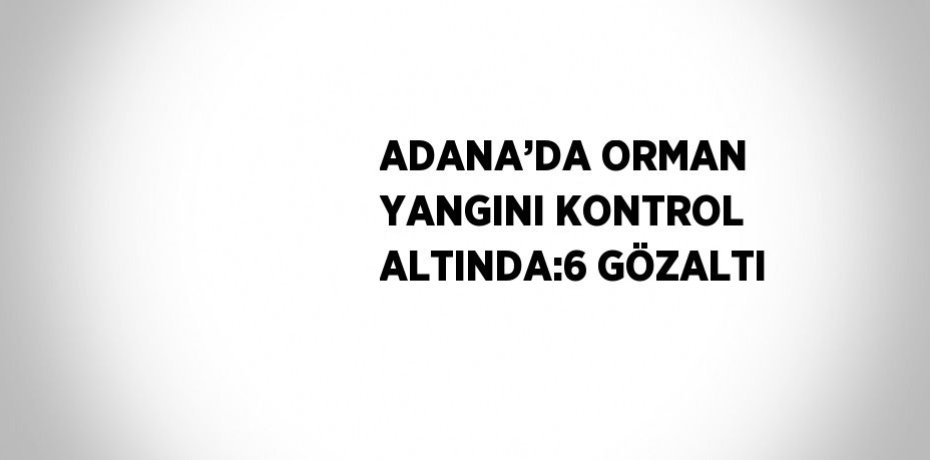 ADANA’DA ORMAN YANGINI KONTROL ALTINDA:6 GÖZALTI