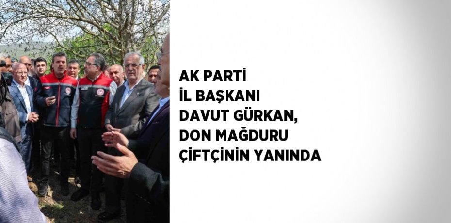 AK PARTİ İL BAŞKANI DAVUT GÜRKAN, DON MAĞDURU ÇİFTÇİNİN YANINDA