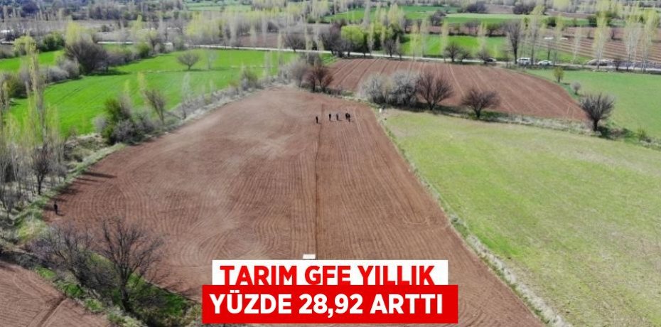 TARIM GFE YILLIK YÜZDE 28,92 ARTTI