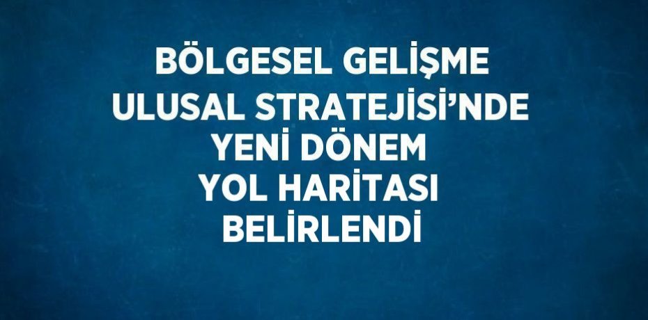 BÖLGESEL GELİŞME ULUSAL STRATEJİSİ’NDE YENİ DÖNEM YOL HARİTASI BELİRLENDİ