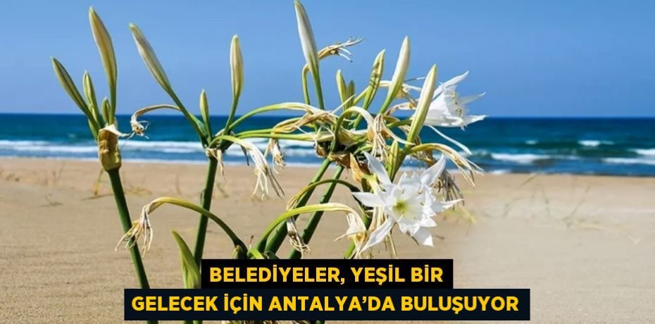 BELEDİYELER, YEŞİL BİR GELECEK İÇİN ANTALYA’DA BULUŞUYOR