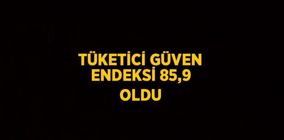 TÜKETİCİ GÜVEN ENDEKSİ 85,9 OLDU