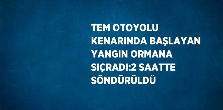 TEM OTOYOLU KENARINDA BAŞLAYAN YANGIN ORMANA SIÇRADI:2 SAATTE SÖNDÜRÜLDÜ