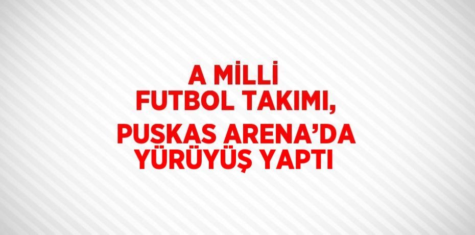 A MİLLİ FUTBOL TAKIMI, PUSKAS ARENA’DA YÜRÜYÜŞ YAPTI