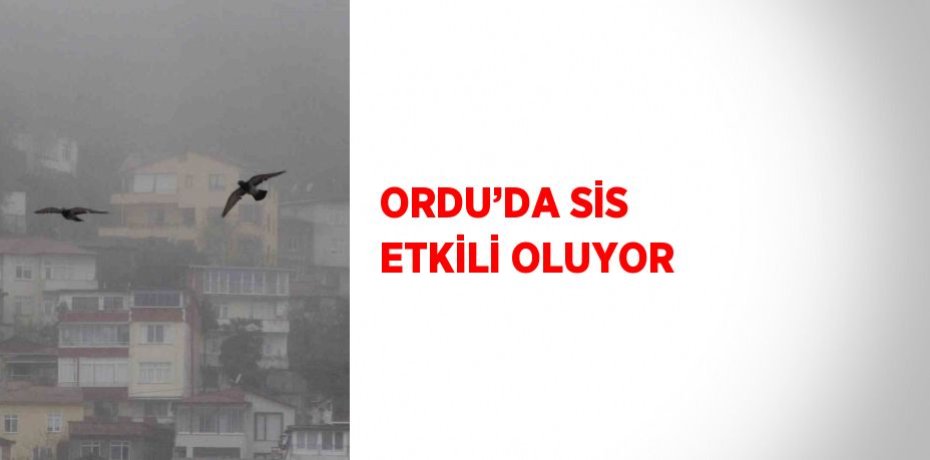 ORDU’DA SİS ETKİLİ OLUYOR