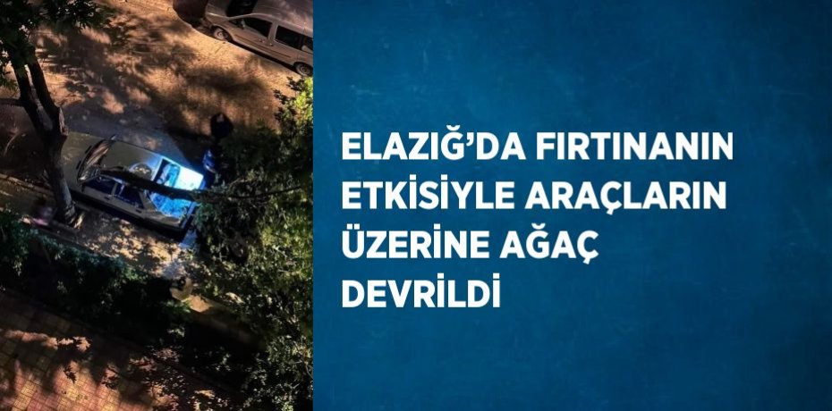 ELAZIĞ’DA FIRTINANIN ETKİSİYLE ARAÇLARIN ÜZERİNE AĞAÇ DEVRİLDİ
