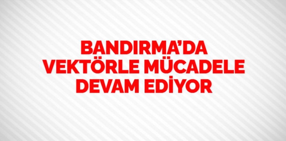 BANDIRMA’DA VEKTÖRLE MÜCADELE DEVAM EDİYOR