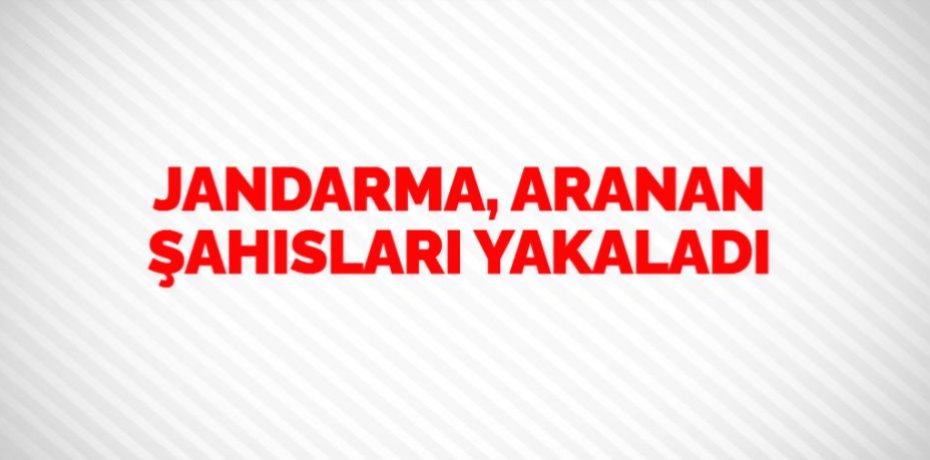 JANDARMA, ARANAN ŞAHISLARI YAKALADI