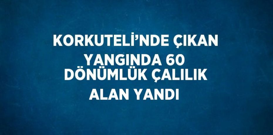 KORKUTELİ’NDE ÇIKAN YANGINDA 60 DÖNÜMLÜK ÇALILIK ALAN YANDI