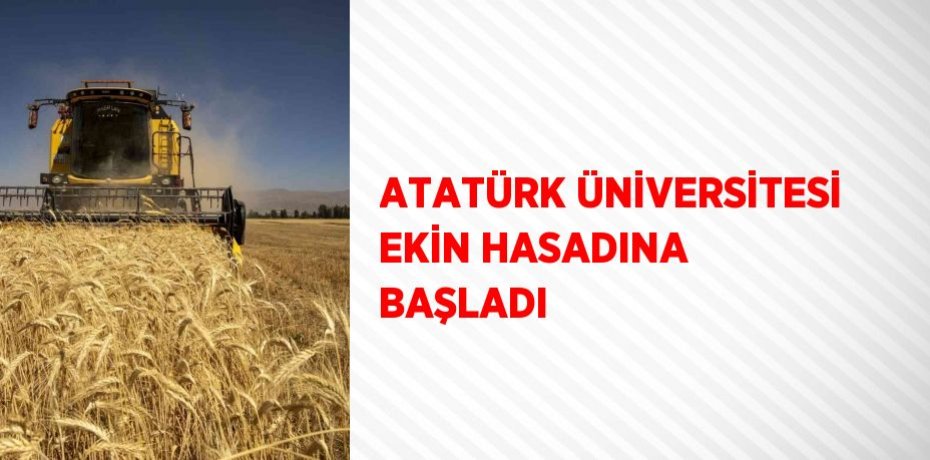 ATATÜRK ÜNİVERSİTESİ EKİN HASADINA BAŞLADI