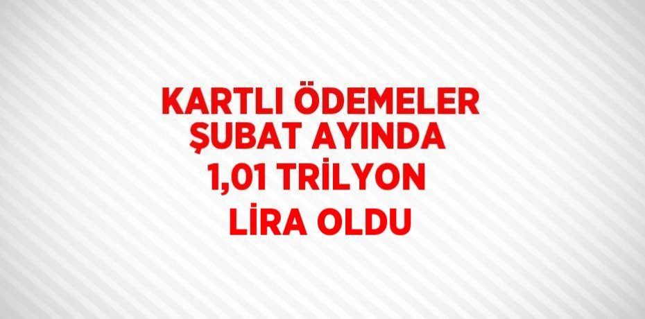 KARTLI ÖDEMELER ŞUBAT AYINDA 1,01 TRİLYON LİRA OLDU