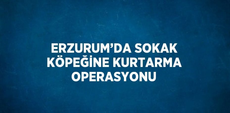 ERZURUM’DA SOKAK KÖPEĞİNE KURTARMA OPERASYONU