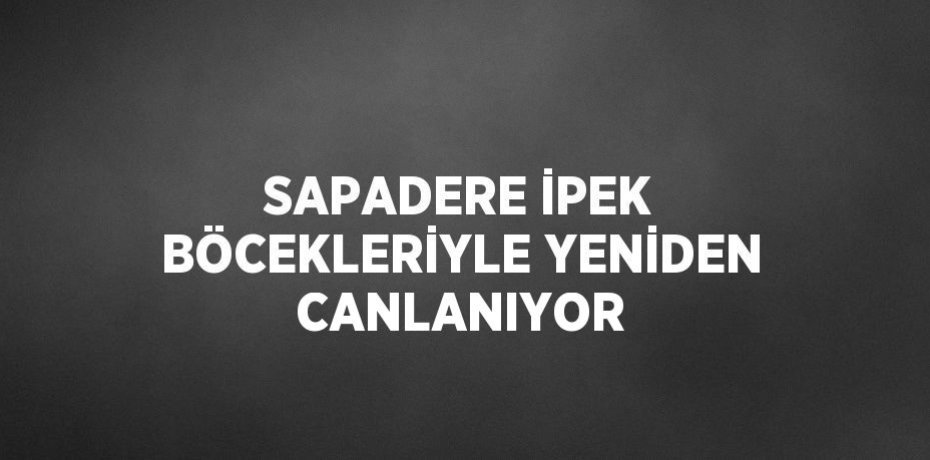 SAPADERE İPEK BÖCEKLERİYLE YENİDEN CANLANIYOR