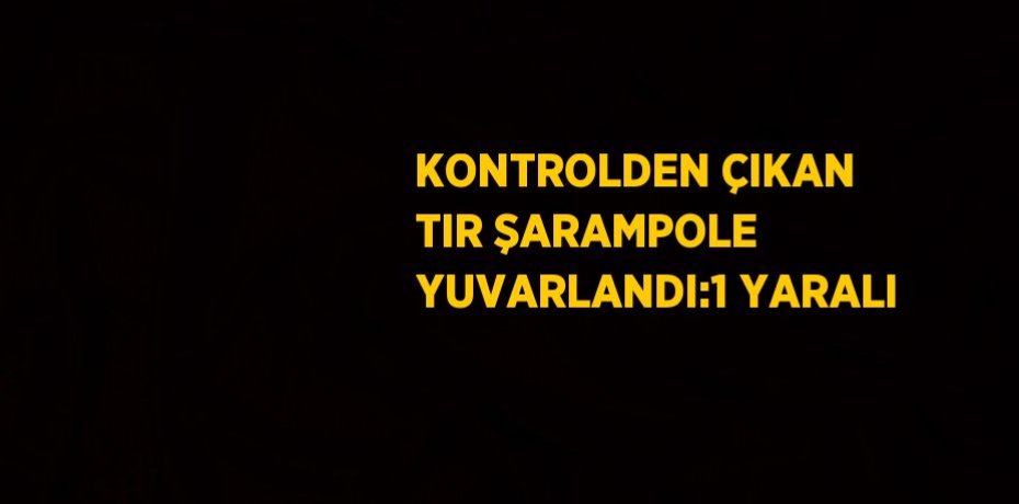 KONTROLDEN ÇIKAN TIR ŞARAMPOLE YUVARLANDI:1 YARALI