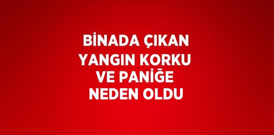 BİNADA ÇIKAN YANGIN KORKU VE PANİĞE NEDEN OLDU