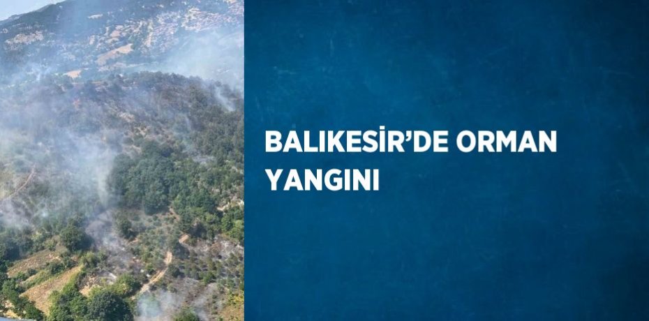BALIKESİR’DE ORMAN YANGINI