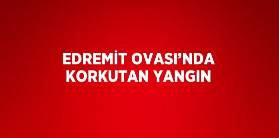EDREMİT OVASI’NDA KORKUTAN YANGIN