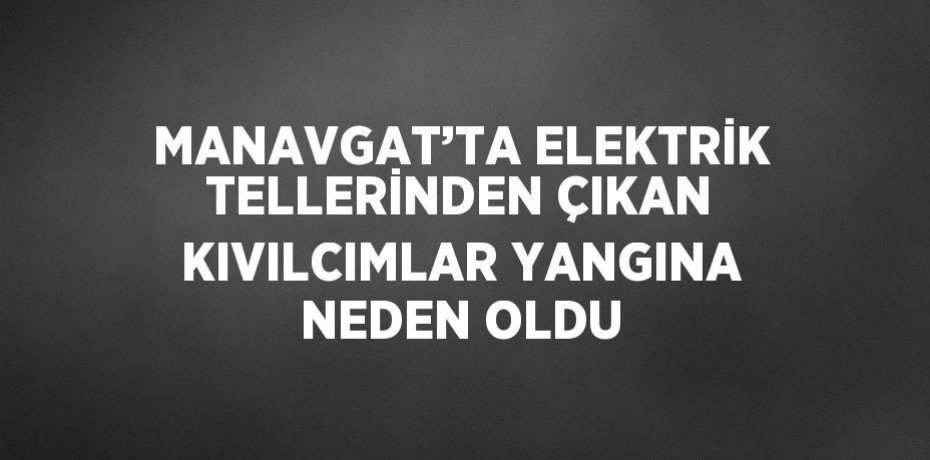 MANAVGAT’TA ELEKTRİK TELLERİNDEN ÇIKAN KIVILCIMLAR YANGINA NEDEN OLDU