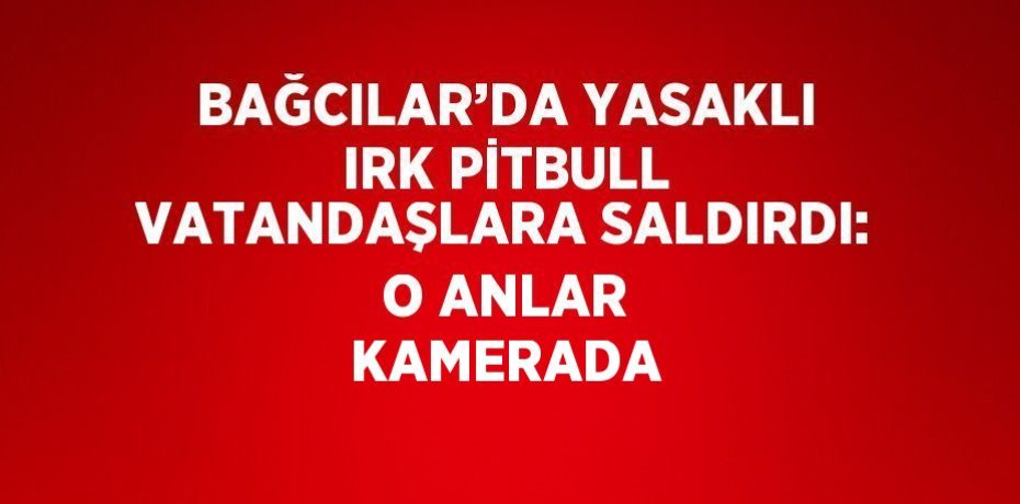BAĞCILAR’DA YASAKLI IRK PİTBULL VATANDAŞLARA SALDIRDI: O ANLAR KAMERADA