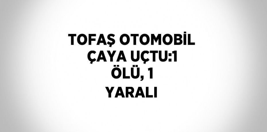 TOFAŞ OTOMOBİL ÇAYA UÇTU:1 ÖLÜ, 1 YARALI