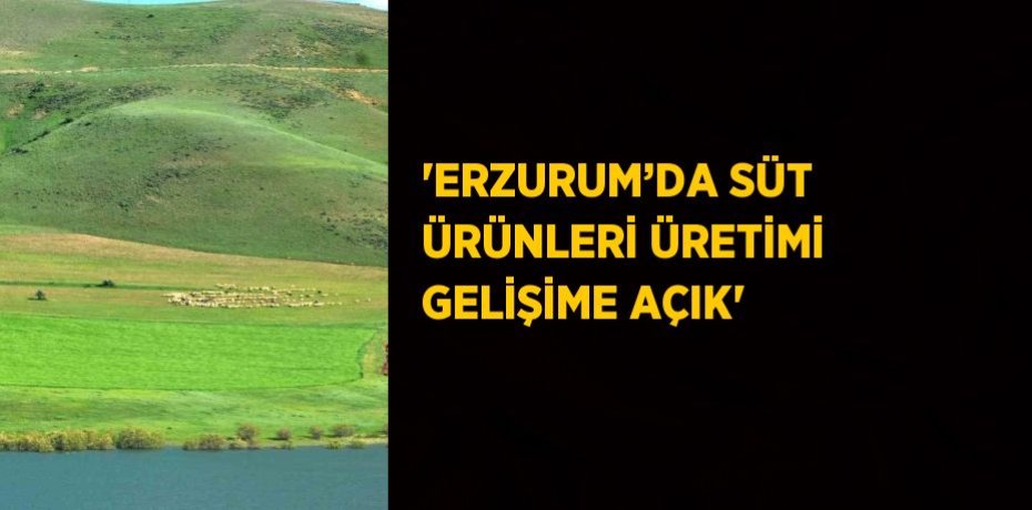 'ERZURUM’DA SÜT ÜRÜNLERİ ÜRETİMİ GELİŞİME AÇIK'