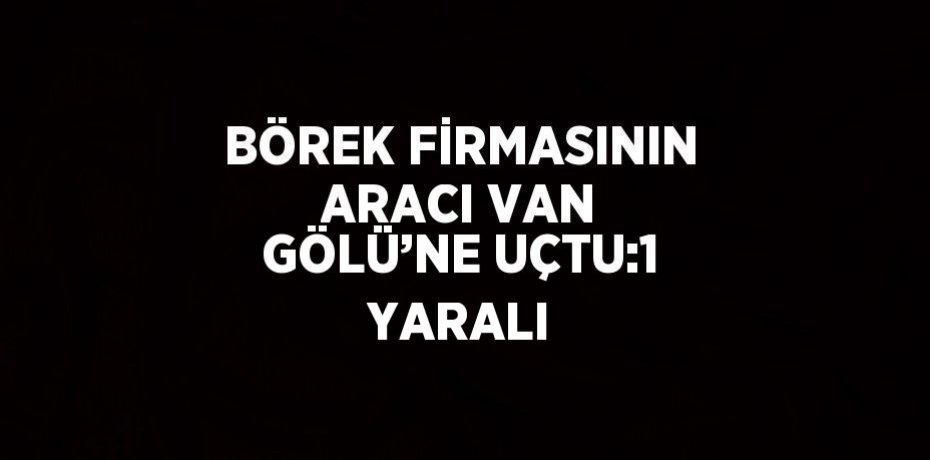 BÖREK FİRMASININ ARACI VAN GÖLÜ’NE UÇTU:1 YARALI