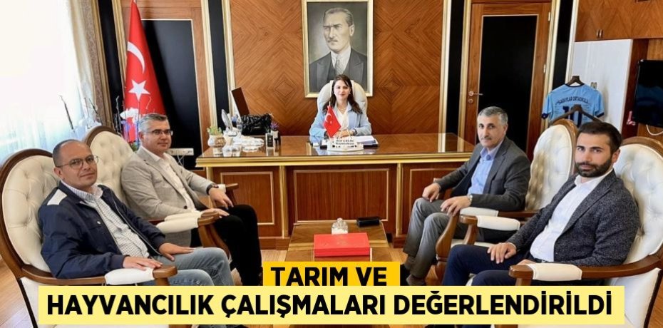 TARIM VE HAYVANCILIK ÇALIŞMALARI DEĞERLENDİRİLDİ