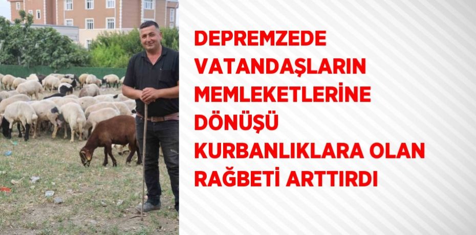 DEPREMZEDE VATANDAŞLARIN MEMLEKETLERİNE DÖNÜŞÜ KURBANLIKLARA OLAN RAĞBETİ ARTTIRDI
