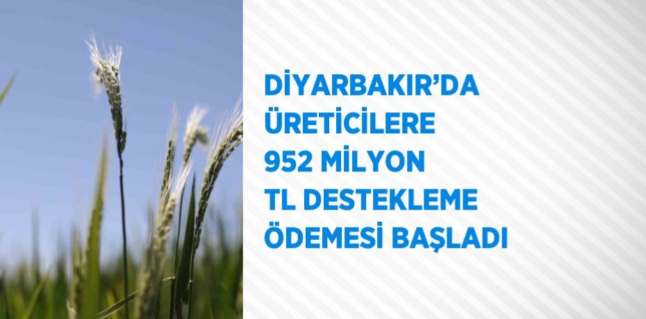 DİYARBAKIR’DA ÜRETİCİLERE 952 MİLYON TL DESTEKLEME ÖDEMESİ BAŞLADI