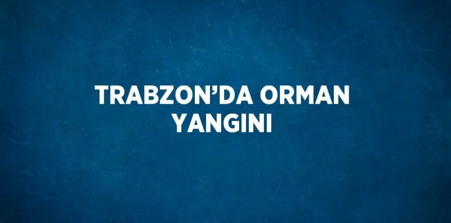 TRABZON’DA ORMAN YANGINI
