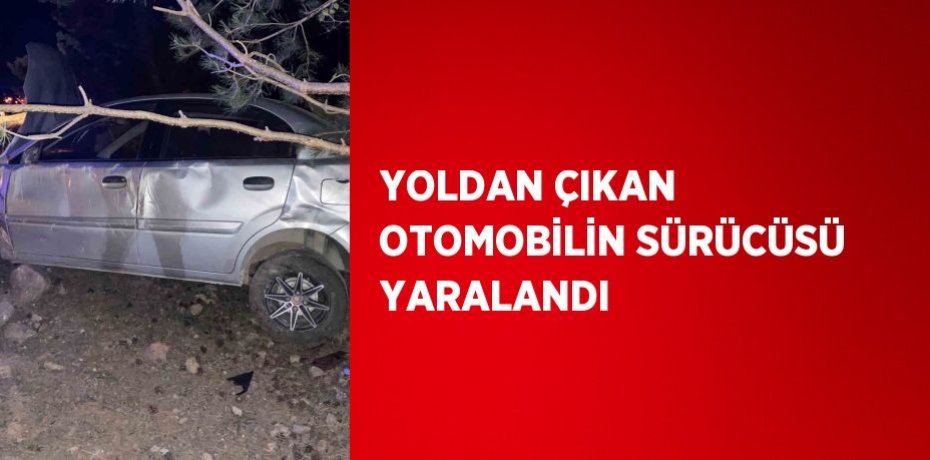 YOLDAN ÇIKAN OTOMOBİLİN SÜRÜCÜSÜ YARALANDI