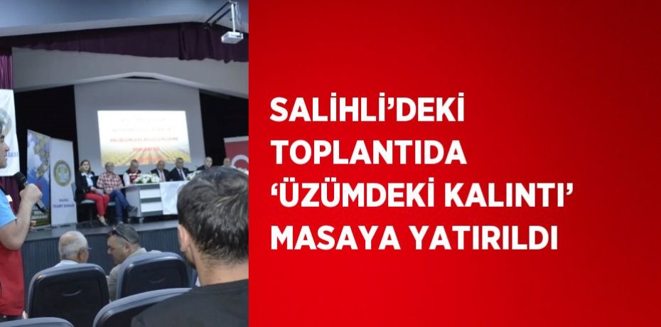 SALİHLİ’DEKİ TOPLANTIDA ‘ÜZÜMDEKİ KALINTI’ MASAYA YATIRILDI