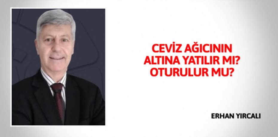 CEVİZ AĞICININ ALTINA YATILIR MI? OTURULUR MU?