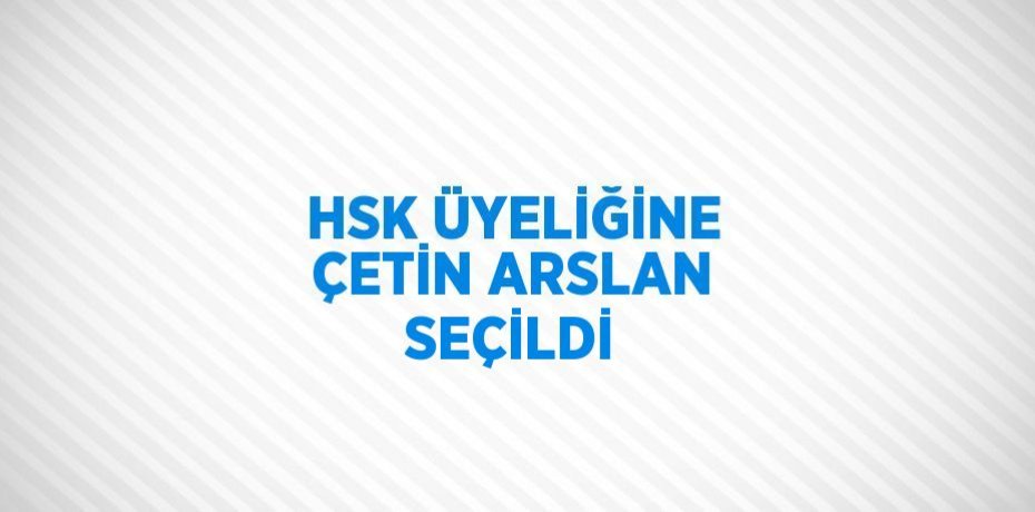 HSK ÜYELİĞİNE ÇETİN ARSLAN SEÇİLDİ